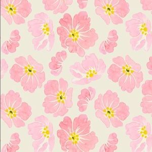 Meet your Posher, Reagan